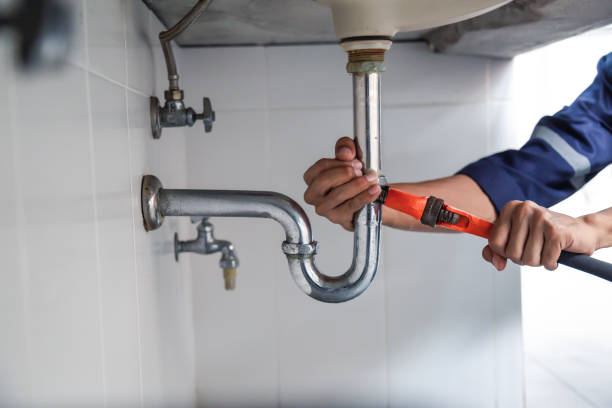 Best Local Plumber Services  in Fair Grove, MO