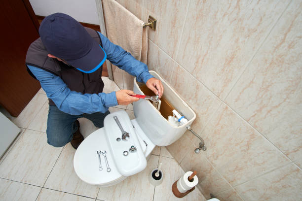 Best Clogged Drain Plumber  in Fair Grove, MO